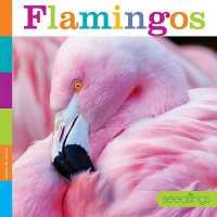 Flamingos (Seedlings) （Library Binding）
