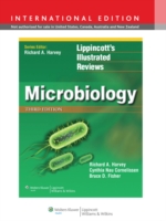 Lippincott図解微生物学レビュー（第３版）<br>Lippincott Illustrated Reviews: Microbiology (Lippincott Illustrated Reviews Series) -- Paperback / softback （Third, Int）