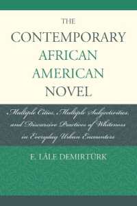 The Contemporary African American Novel : Multiple Cities, Multiple Subjectivities, and Discursive Practices of Whiteness in Everyday Urban Encounters