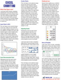 Excel Charting Tip Card （LAM CHRT）