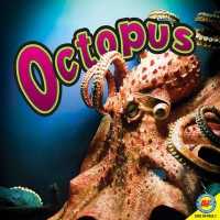 Octopus (Ocean Life)