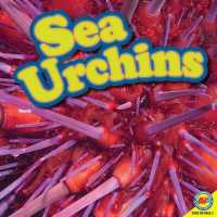 Sea Urchins (Ocean Life)