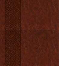 Kjv Expressions Bible : Journaling through God's Word -- Hardback （Brown, lea）
