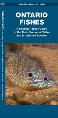 Ontario Fishes : A Folding Pocket Guide to the Most Common Native and Introduced Species (Pocket Naturalist Guide) -- Pamphlet