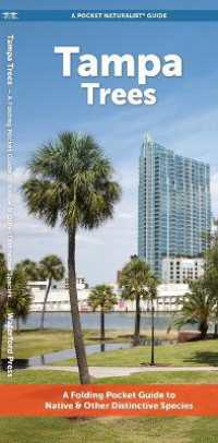 Tampa Trees (Nature Observation North America)