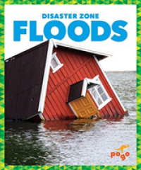 Floods (Disaster Zone)