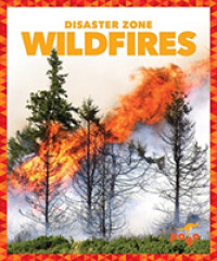 Wildfires (Disaster Zone)
