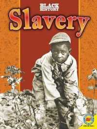 Slavery (Black History)