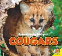 Cougars (Animals in My Backyard) （Library Binding）