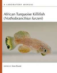 African Turquoise Killifish (Nothobranchius Furzeri) : A Laboratory Manual