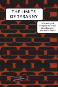 The Limits of Tyranny : Archaeological Perspectives on the Struggle against New World Slavery