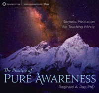 Practice of Pure Awareness : Somatic Meditation for Touching Infinity