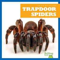 Trapdoor Spiders (Eye on Spiders) （Library Binding）