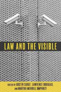 Law and the Visible (The Amherst Series in Law, Jurisprudence, and Social Thought)