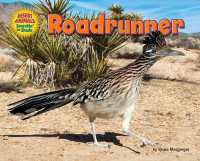 Roadrunner (Desert Animals Searchin' for Shade)