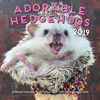 Adorable Hedgehogs 2019 Calendar （16M MIN WA）