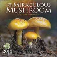 Miraculous Mushroom 2018 Calendar : With Fabulous Fungi Facts （WAL）