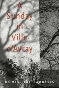 A Sunday in Ville-d'avray : A Novel