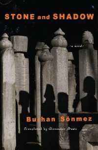 Stone and Shadow : A Novel