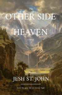THE OTHER SIDE OF HEAVEN - a novel : from the grey life to eternal light