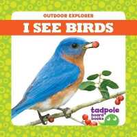 I See Birds (Outdoor Explorer) （Board Book）