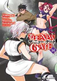 New Gate Volume 14 -- Paperback / softback