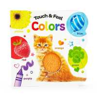 Touch & Feel Colors (Touch & Feel) （Board Book）
