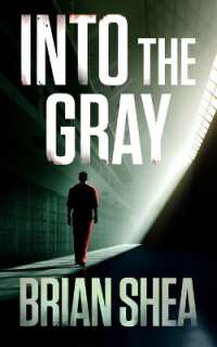 Into the Gray (Boston Crime Thrillers)