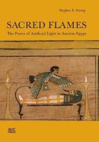 Sacred Flames : The Power of Artificial Light in Ancient Egypt