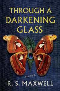 Through a Darkening Glass : A Novel
