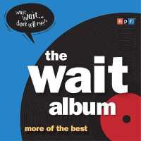 The Wait Album Lib/E : More of the Best （Library）