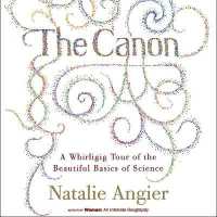 The Canon : A Whirligig Tour of the Beautiful Basics of Science