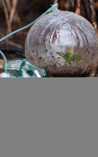 Ibero-American Ecocriticism : Cultural and Social Explorations (Ecocritical Theory and Practice)