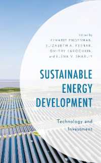 Sustainable Energy Development : Technology and Investment (Environment and Society)