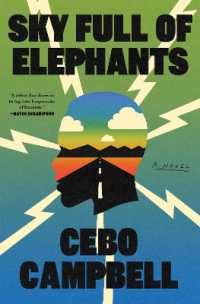 Sky Full of Elephants : A Novel