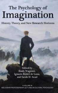 The Psychology of Imagination : History, Theory and New Research Horizons (Niels Bohr Professorship Lectures in Cultural Psychology)