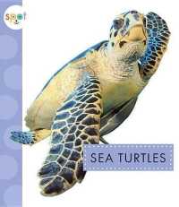 Sea Turtles (Spot Ocean Animals) （Library Binding）