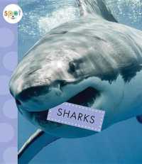 Sharks (Spot Ocean Animals) （Library Binding）