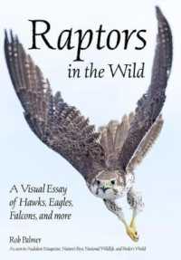 Raptors in the Wild : A Visual Essay of Hawks, Eagles, Falcons and More