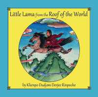 Little Lama from the Roof of the World