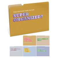 Super Organized File Folders (Knock Knock File Folders)