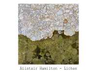 Lichen : Photographs and some words
