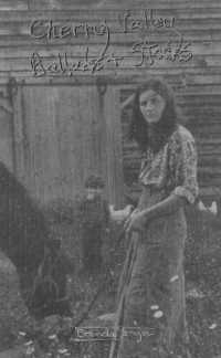 My True Stories: Cherry Valley Ballads and Stories