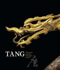 Tang: Treasures from the Silk Road capital