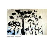 Thoughtless Pictures