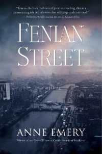 Fenian Street : A Mystery