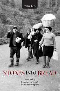 Stones into Bread (Gwe Literature in Translation)