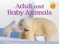 Adult and Baby Animals : English Edition (Nunavummi Reading Series) （English）