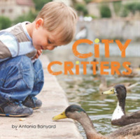 City Critters -- Board book