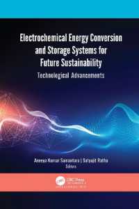 Electrochemical Energy Conversion and Storage Systems for Future Sustainability : Technological Advancements